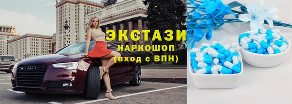 гидра Алексеевка