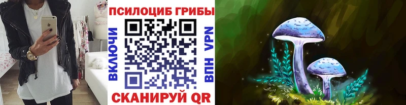 Псилоцибиновые грибы мухоморы  ОМГ ОМГ ССЫЛКА  Трубчевск  закладки 